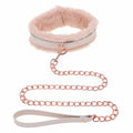 Collar Sportsheets