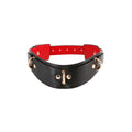 Collar de Castigo NS Novelties Fetish & Fashion