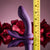 V4H564A64E0FAEEF784BEE188E75ADDC8B8R4876905P10