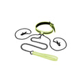 Set Erótico Whipsmart