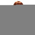 Accesorio Erótico World Wigs Diane Peluca